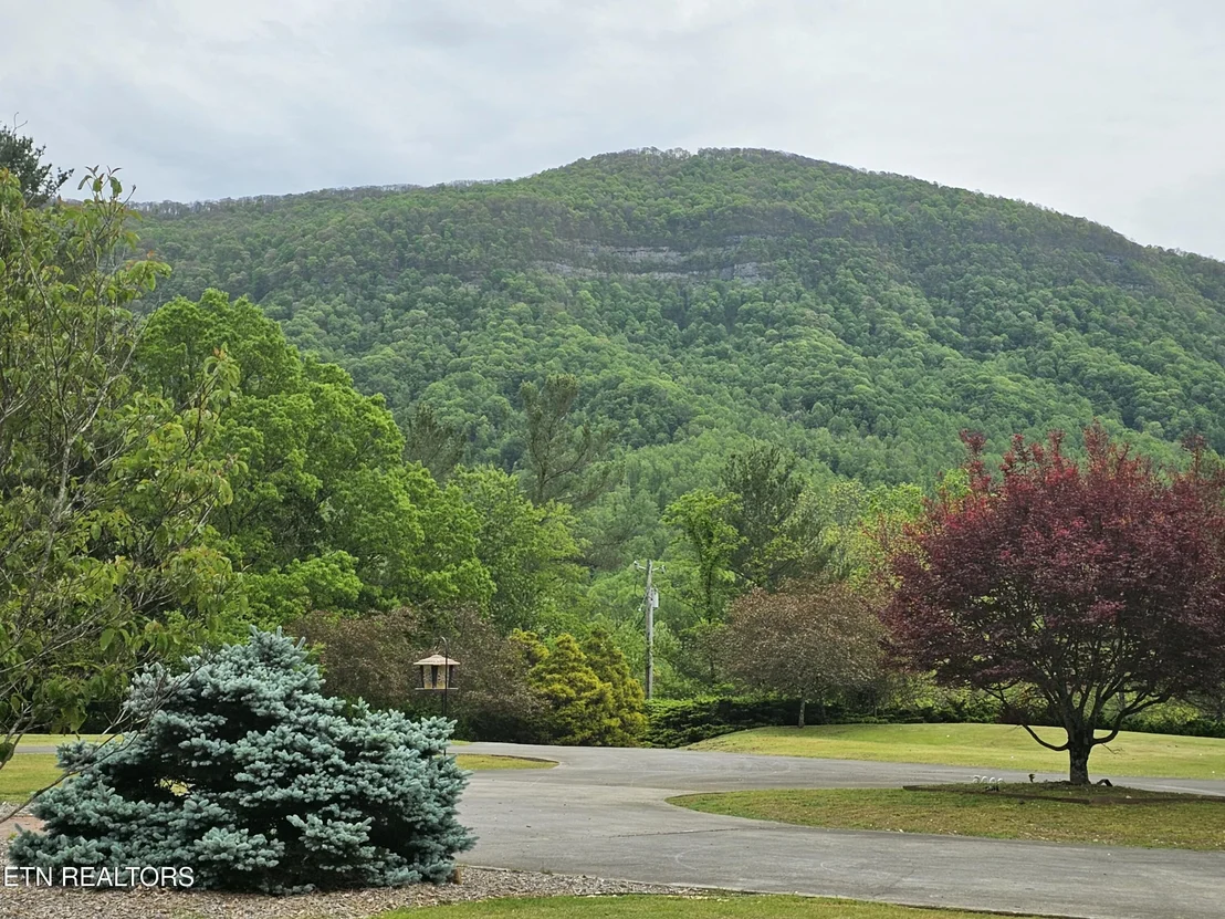 Photo of 6005 Powell Valley Rd