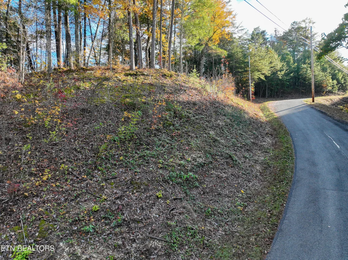 Photo of Bear Den Rd