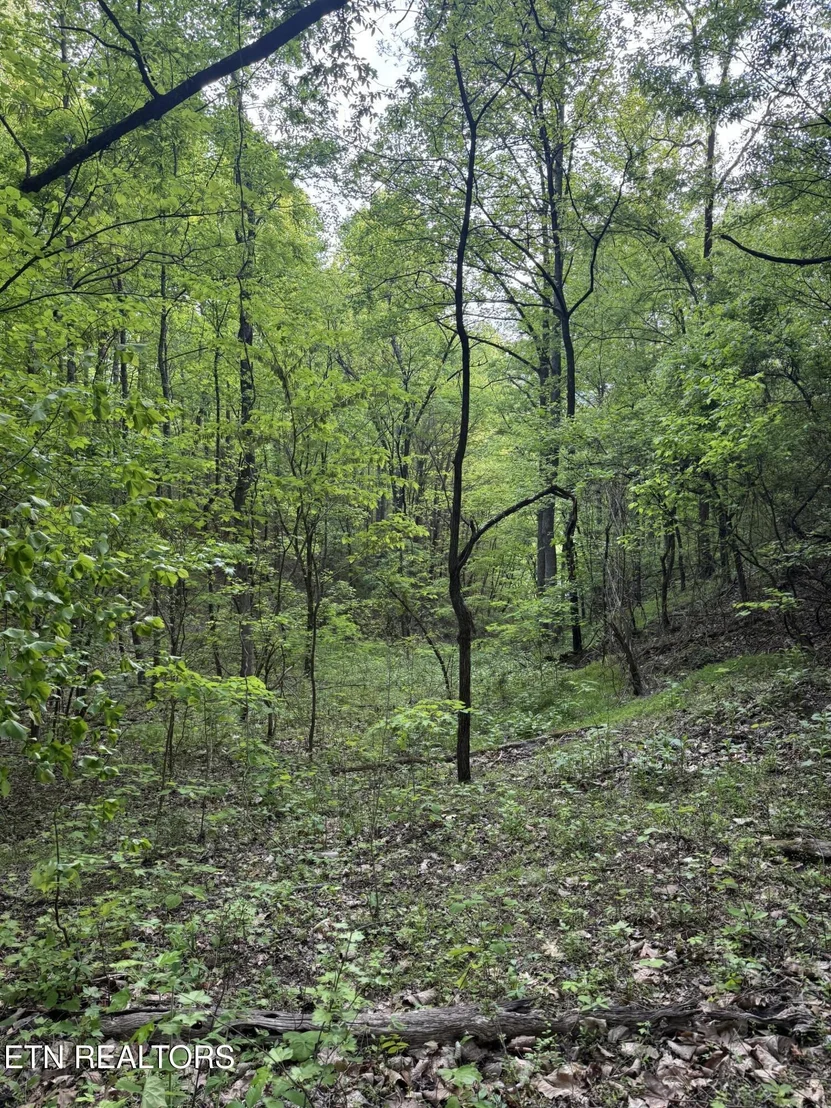 Photo of 332 Padgett Mill Rd