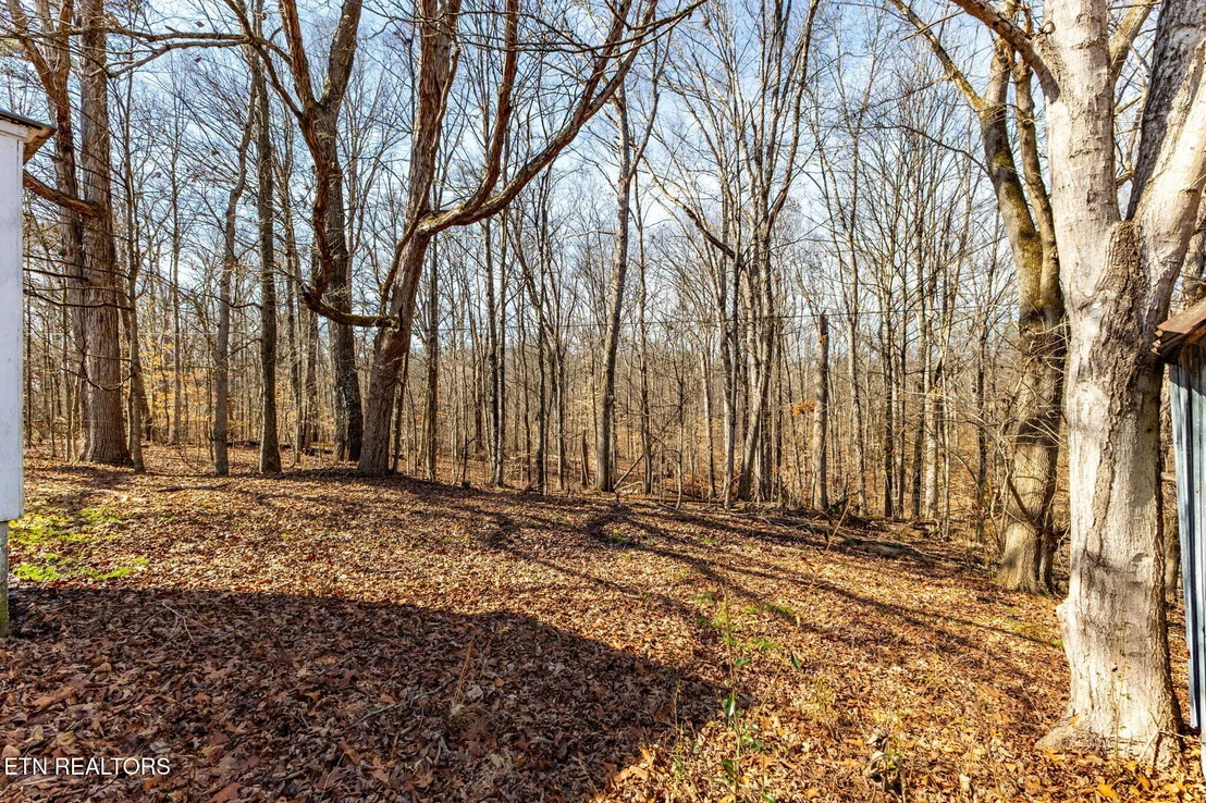 Photo of 515 Millers Chapel Rd
