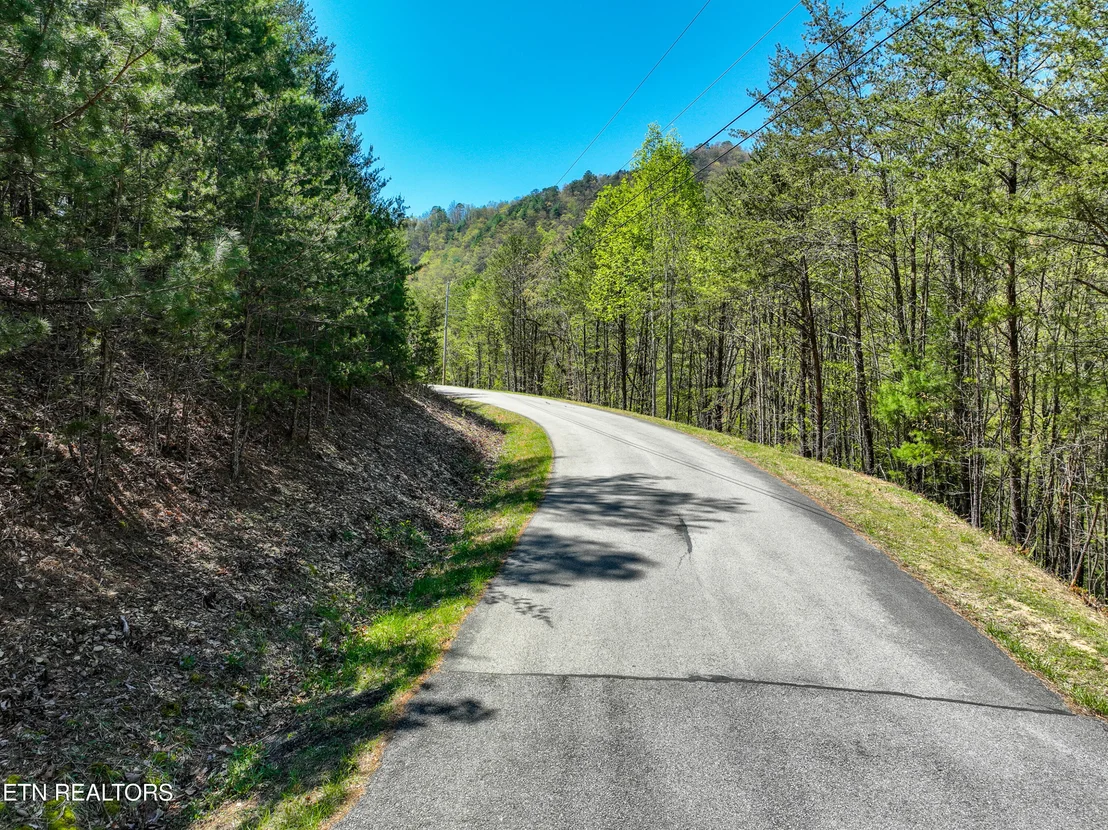 Photo of Bear Den Rd