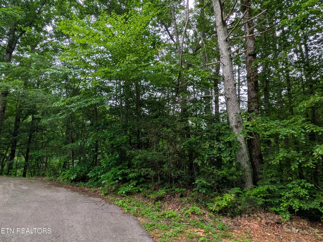 Photo of 438 Kurt's Corner Rd