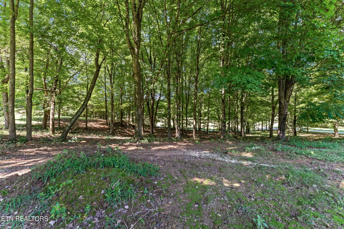 Photo of 110 Halcomb Drive
