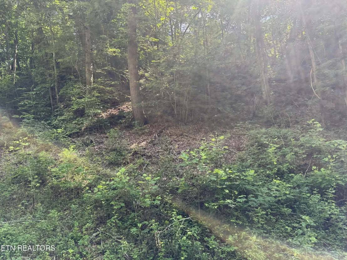 Photo of 332 Padgett Mill Rd