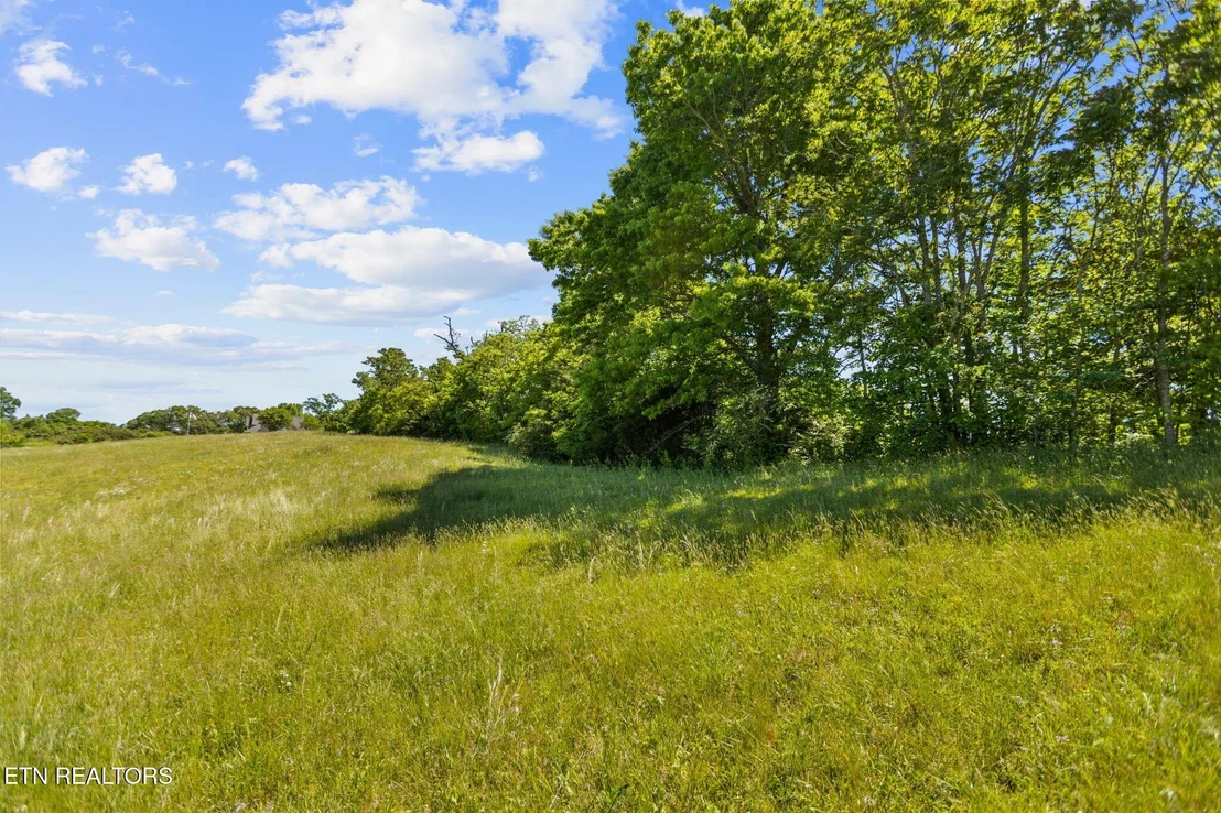 Photo of lot 44 Holston River Drive