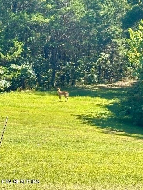 Photo of 669 Choptack Rd