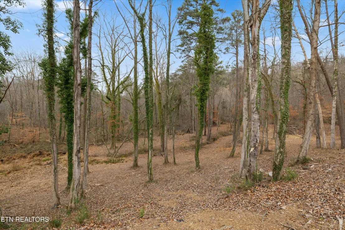 Photo of 8431 Rising Sun Drive