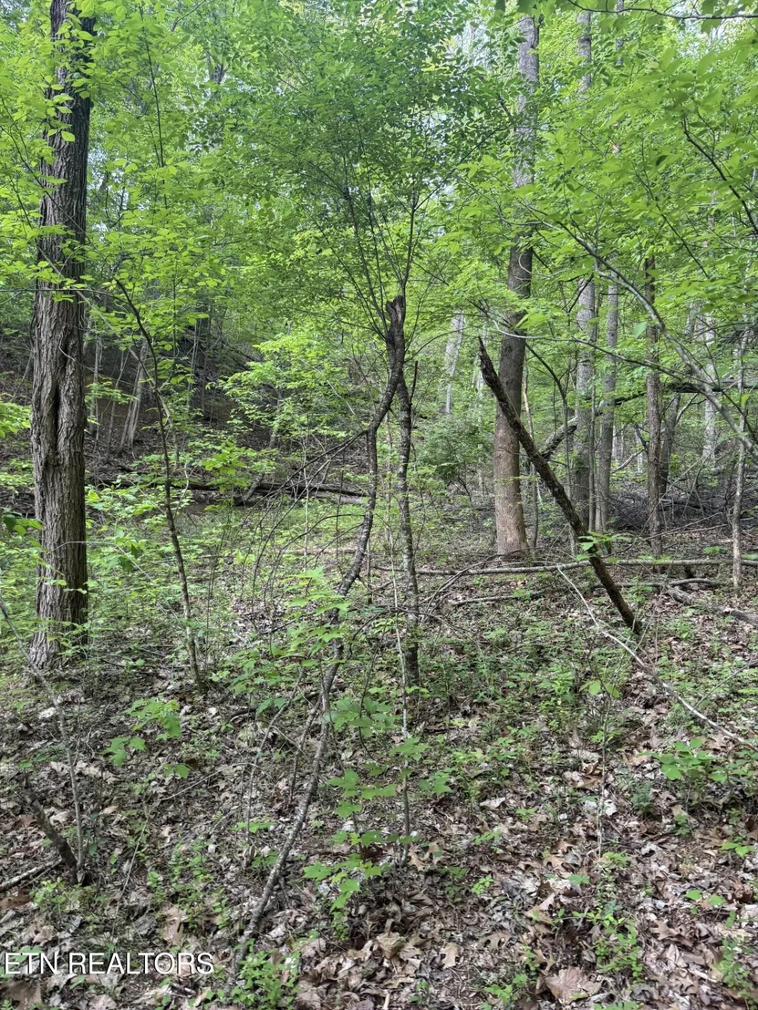 Photo of 332 Padgett Mill Rd
