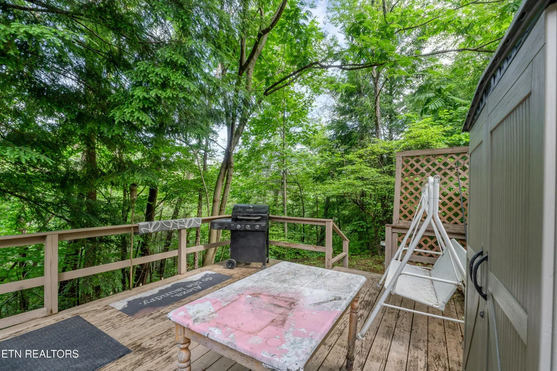 Photo of 419 Mountain Thrush Drive