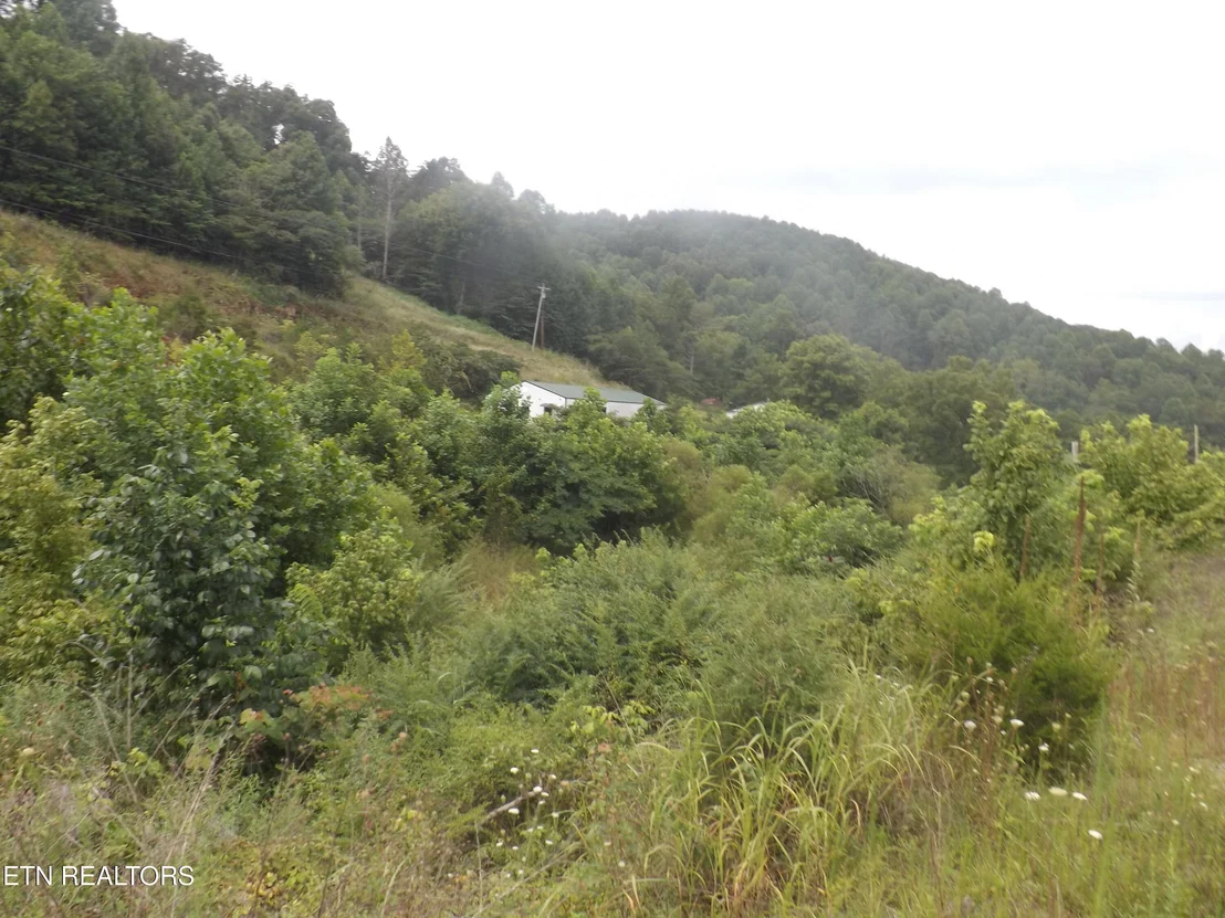 Photo of 5075 E Highway 25E