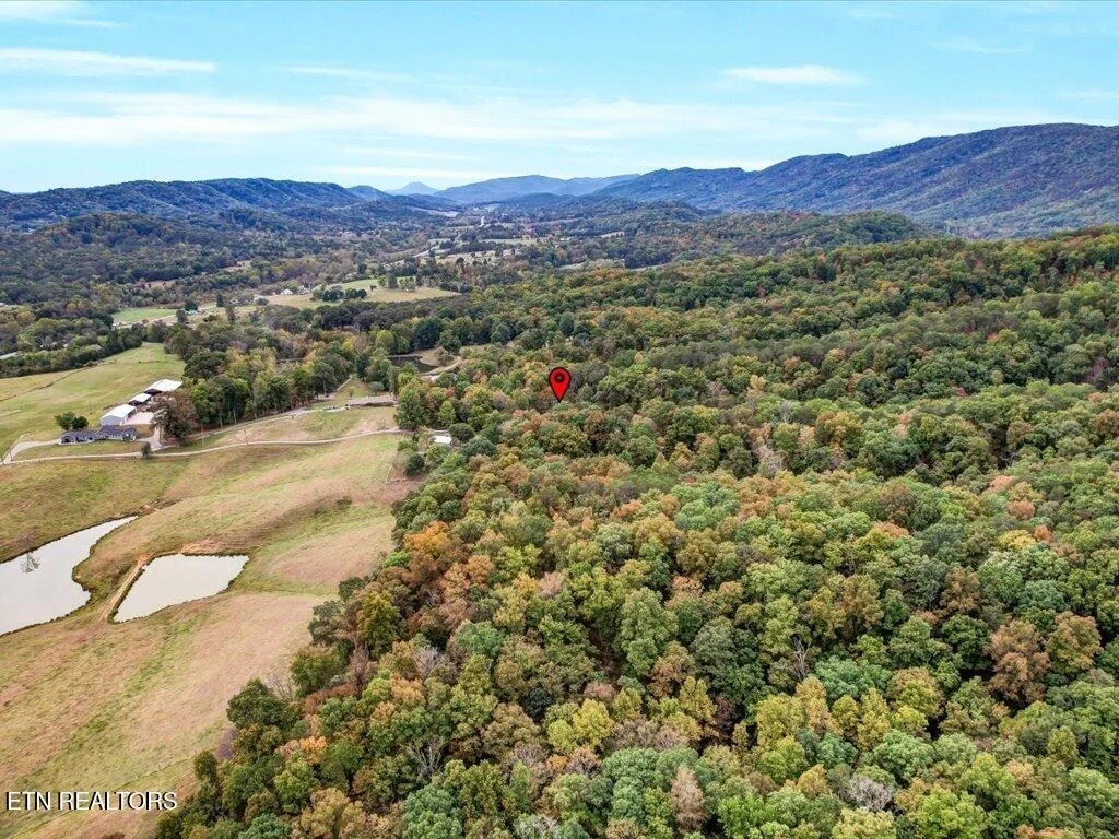 Photo of 434 Henry Clark Lane