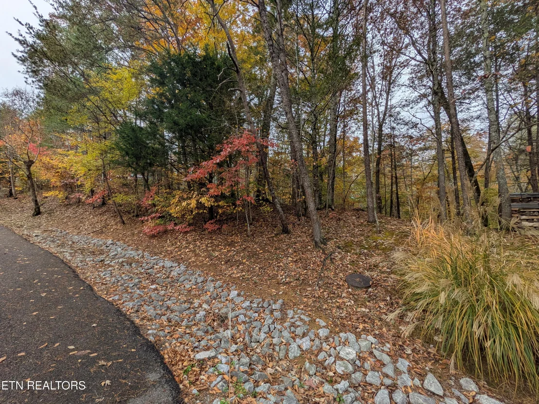 Photo of 517 Clearwater Circle