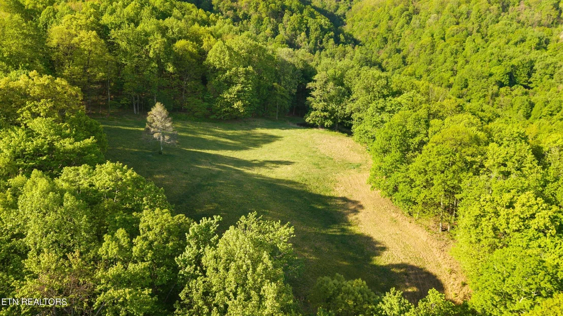 Photo of 172 Pam Lane