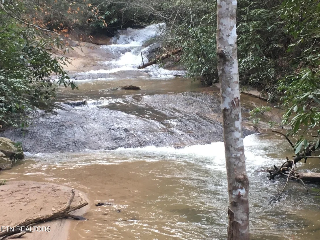 Photo of 2606 Bear Crossing Way