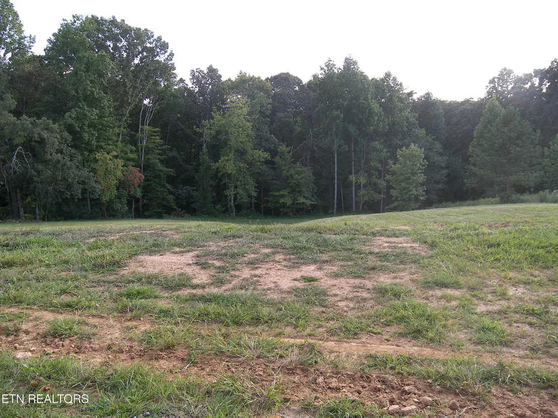 Photo of 250 Wells Rd