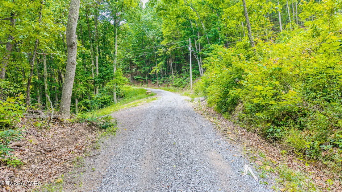Photo of 1038 Clingmans View