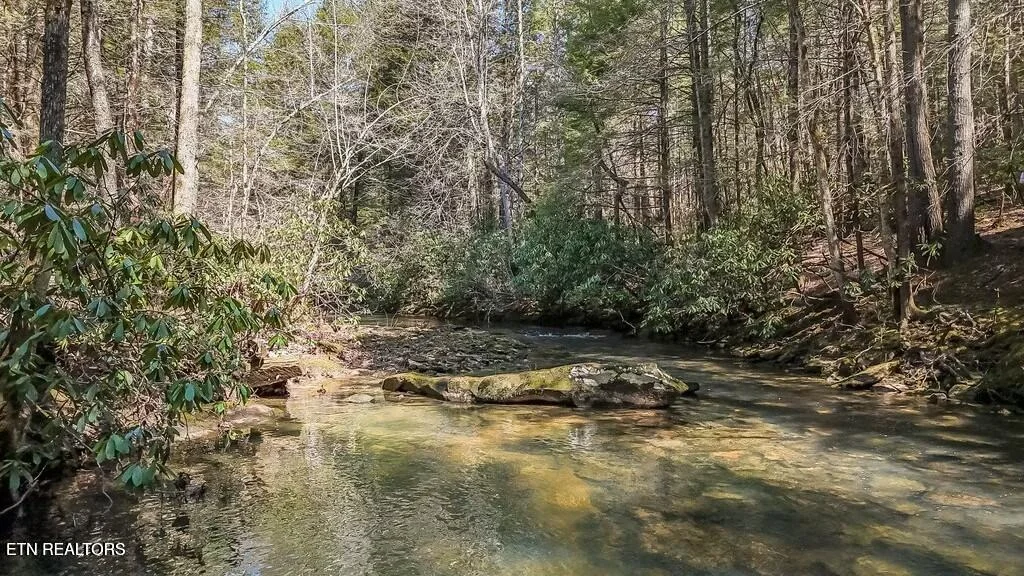 Photo of Twin Bridge Rd