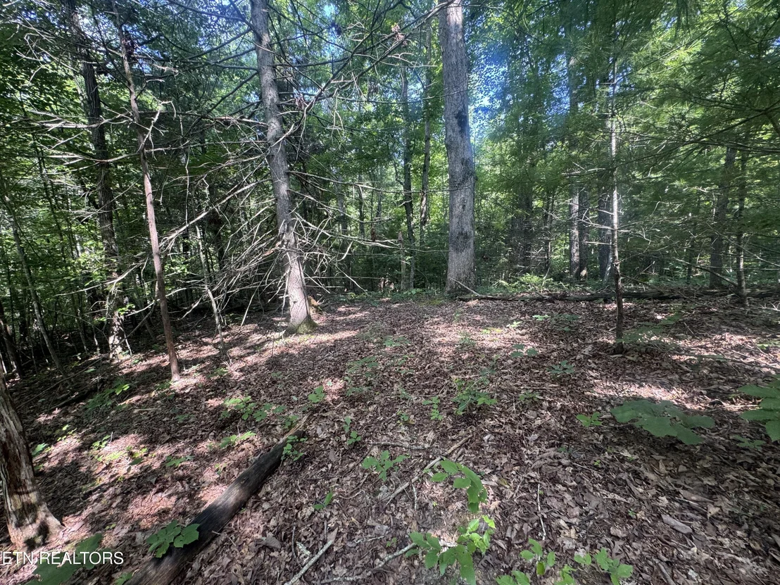 Photo of 332 Padgett Mill Rd