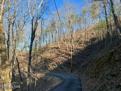 Photo of 2353 Headrick Lead