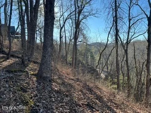 Photo of 2353 Headrick Lead
