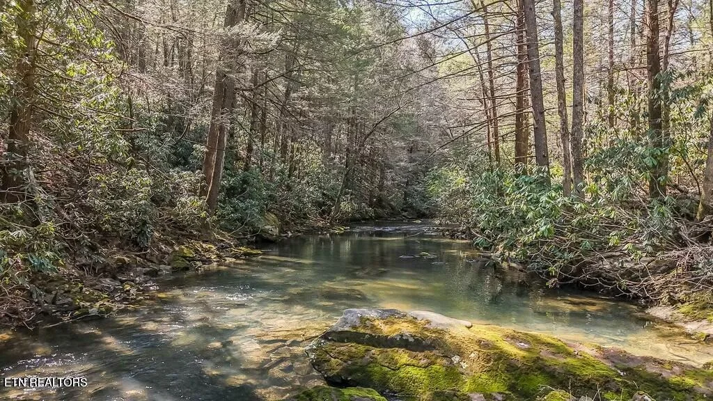 Photo of Twin Bridge Rd