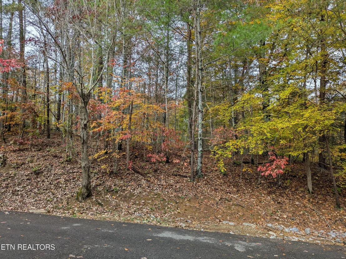 Photo of 517 Clearwater Circle