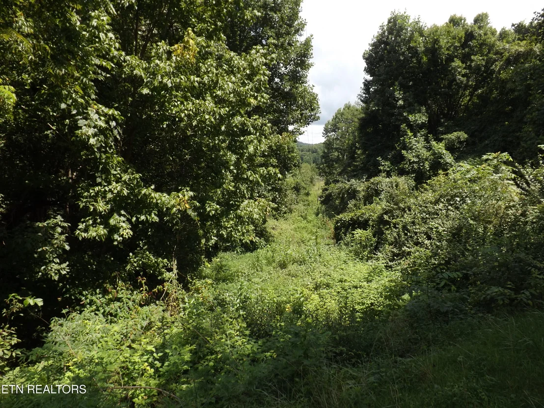 Photo of 5075 E Highway 25E