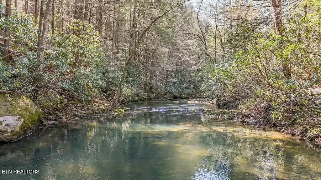 Photo of Twin Bridge Rd