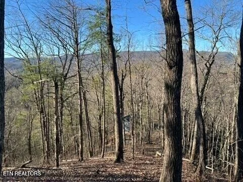 Photo of 2353 Headrick Lead