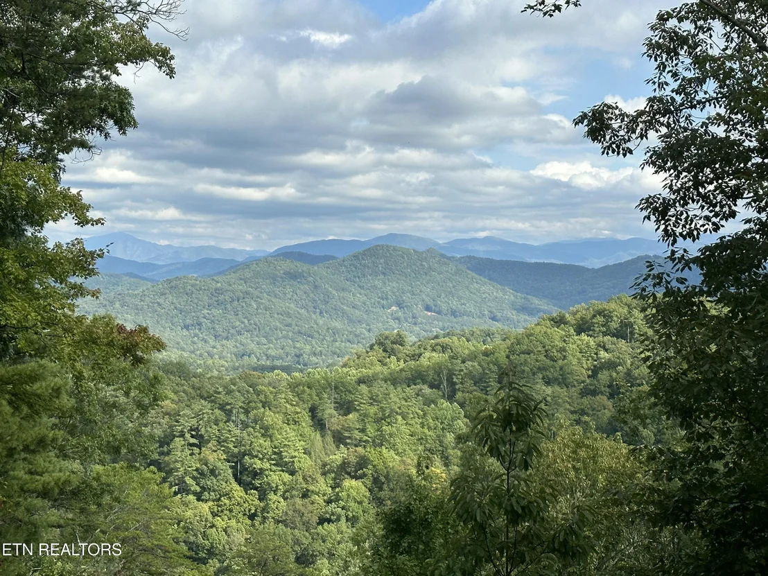 Photo of Bear Den Rd