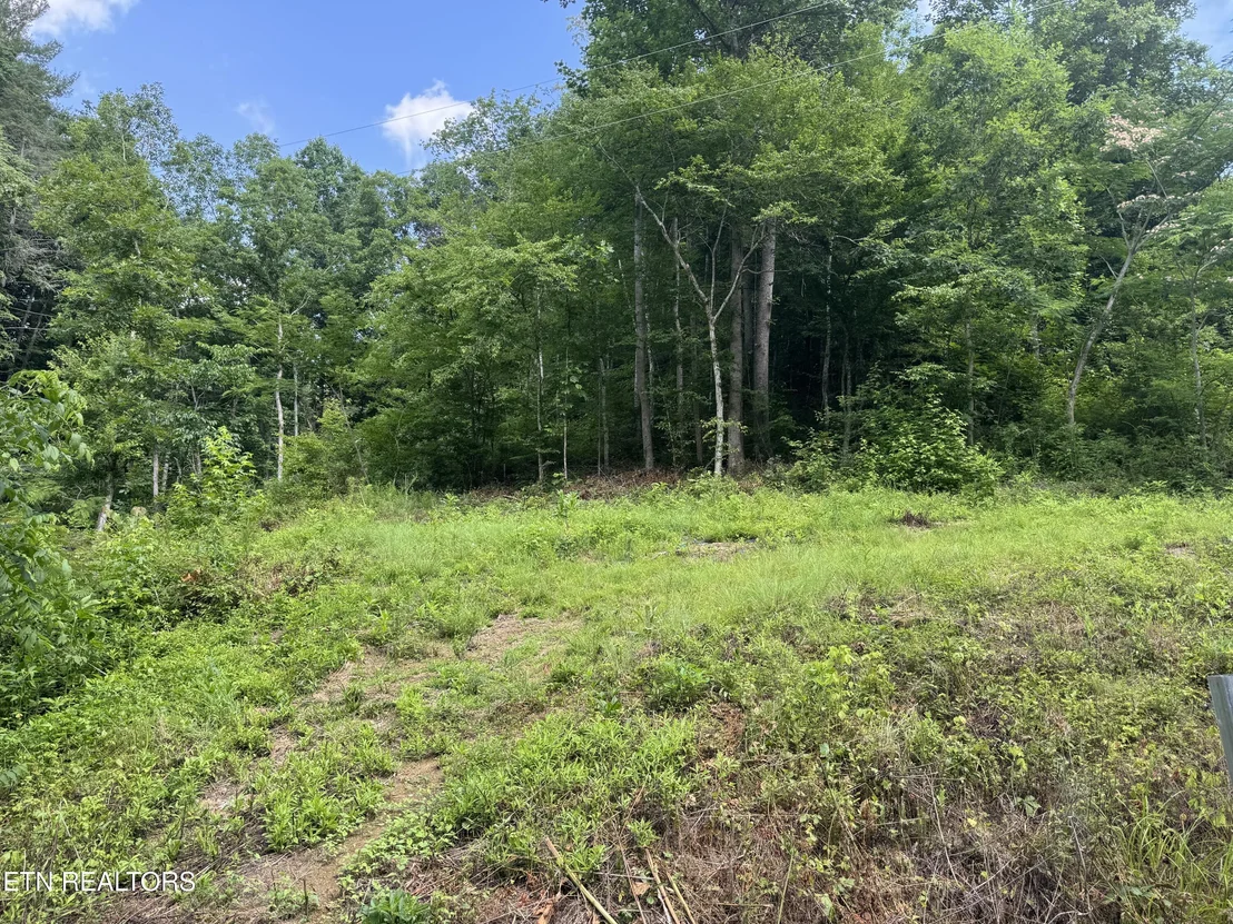 Photo of 332 Padgett Mill Rd
