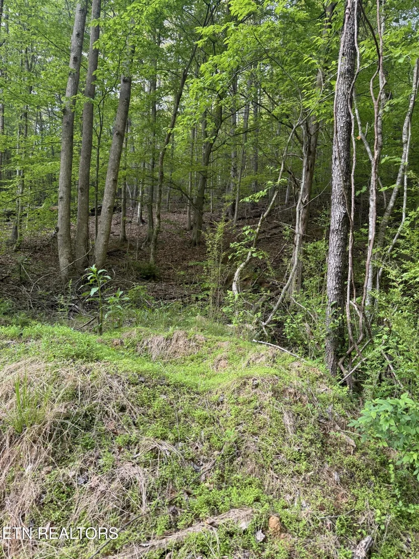 Photo of 332 Padgett Mill Rd