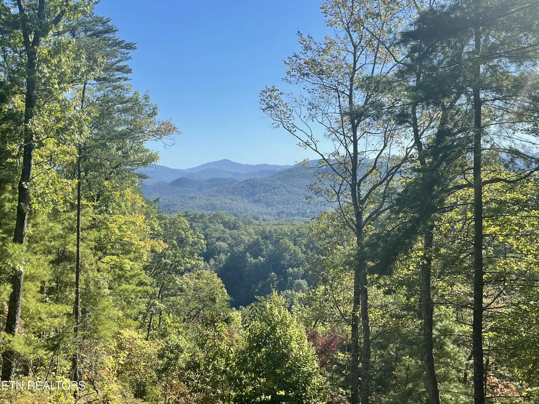 Photo of Bear Den Rd
