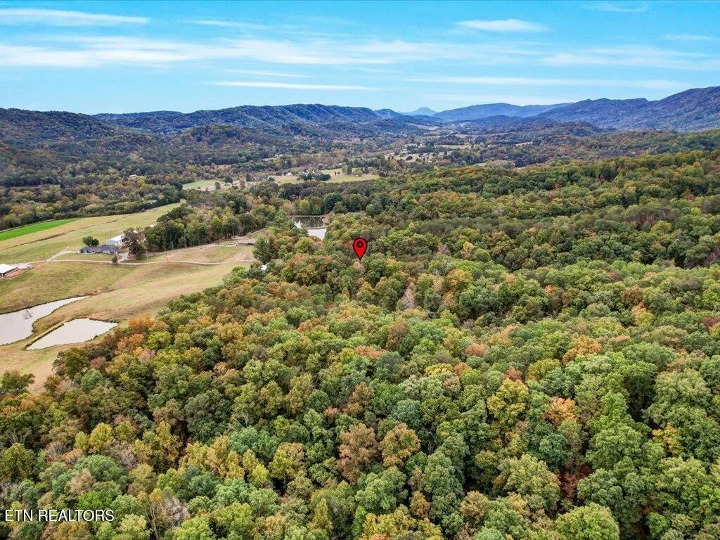Photo of 434 Henry Clark Lane