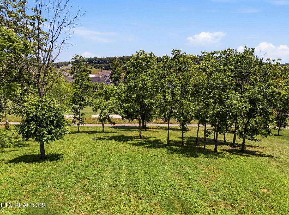Photo of 903 Mockingbird Lane