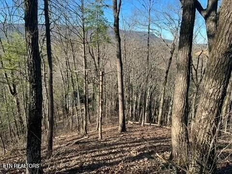 Photo of 2353 Headrick Lead
