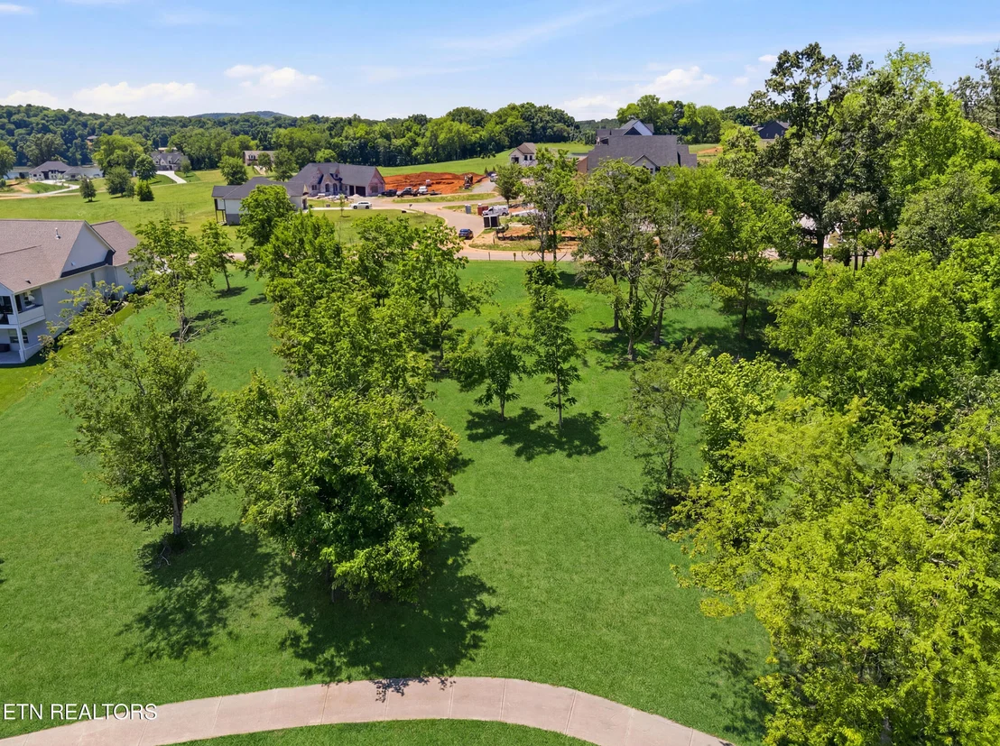 Photo of 903 Mockingbird Lane