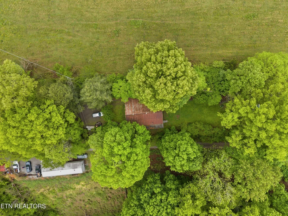 Photo of 185 Trinity Lane