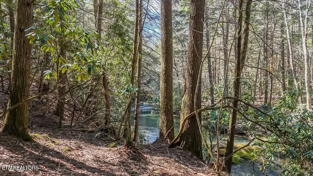 Photo of Twin Bridge Rd
