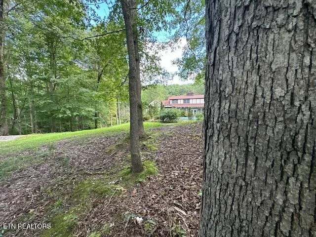 Photo of 348 Ridge Rd