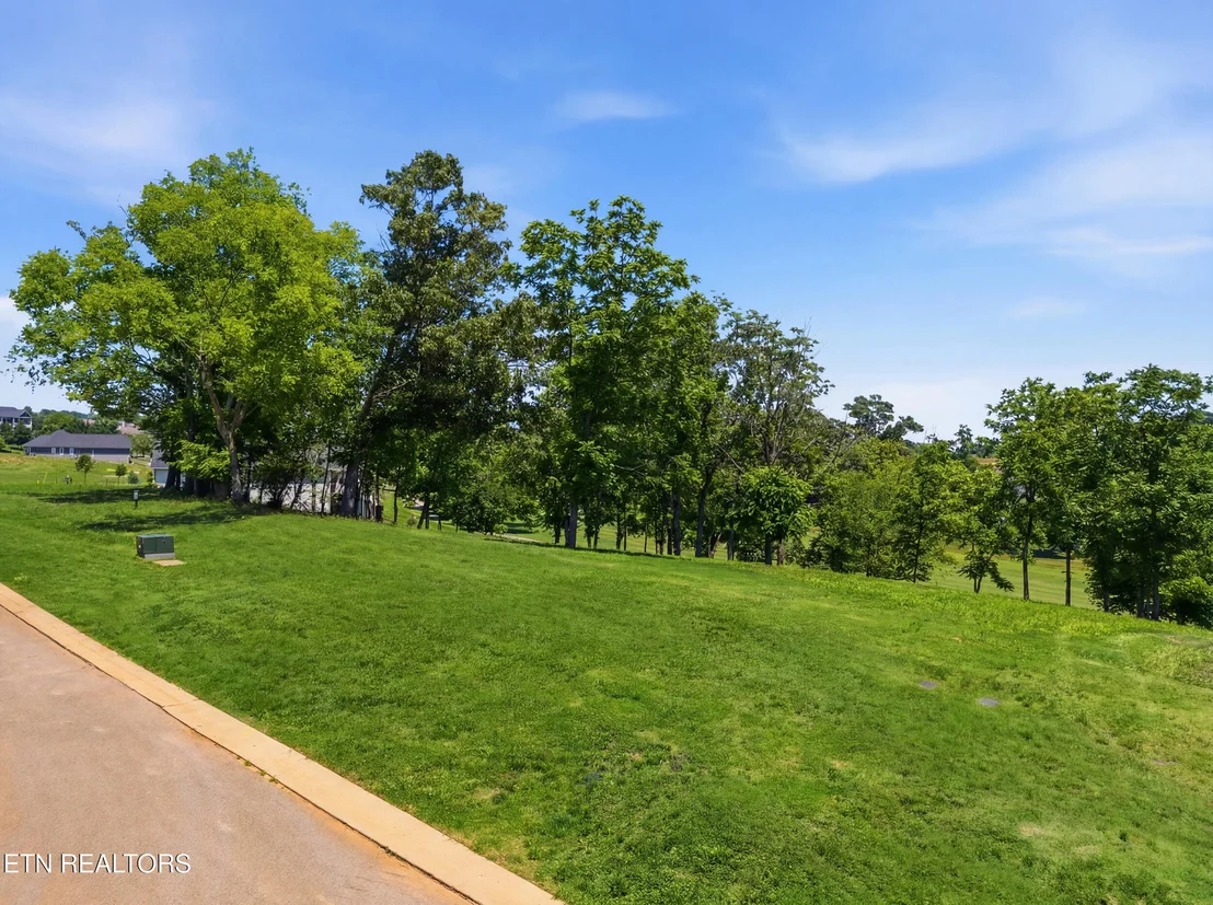 Photo of 903 Mockingbird Lane