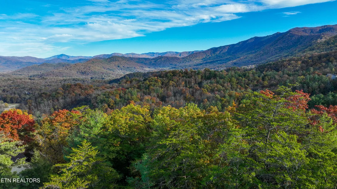 Photo of Bear Den Rd