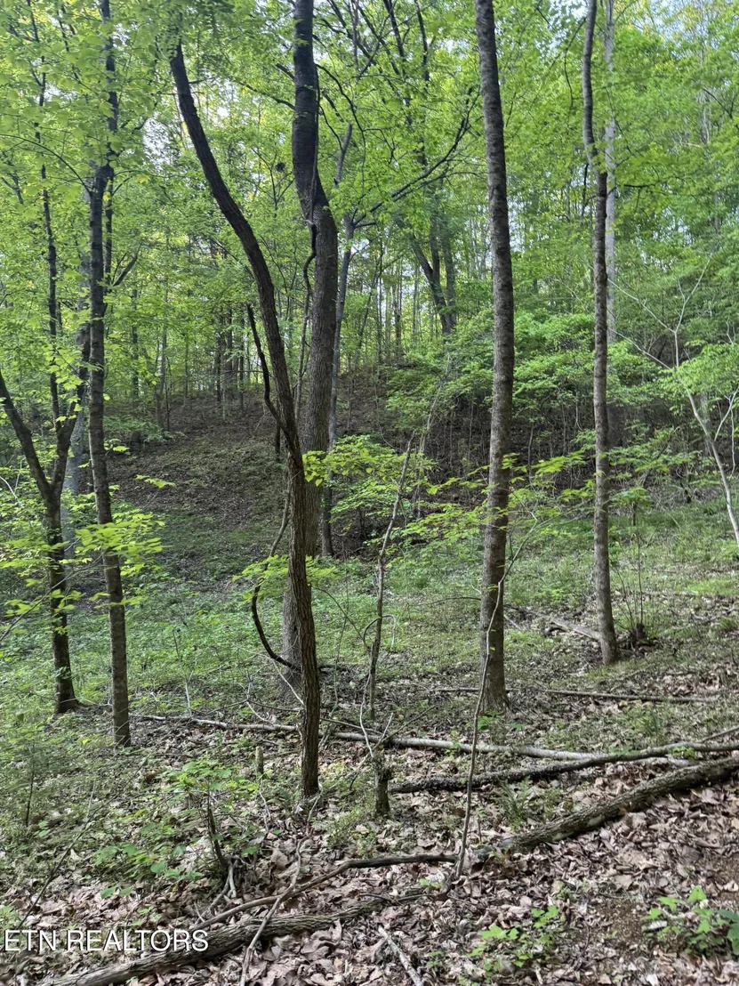 Photo of 332 Padgett Mill Rd