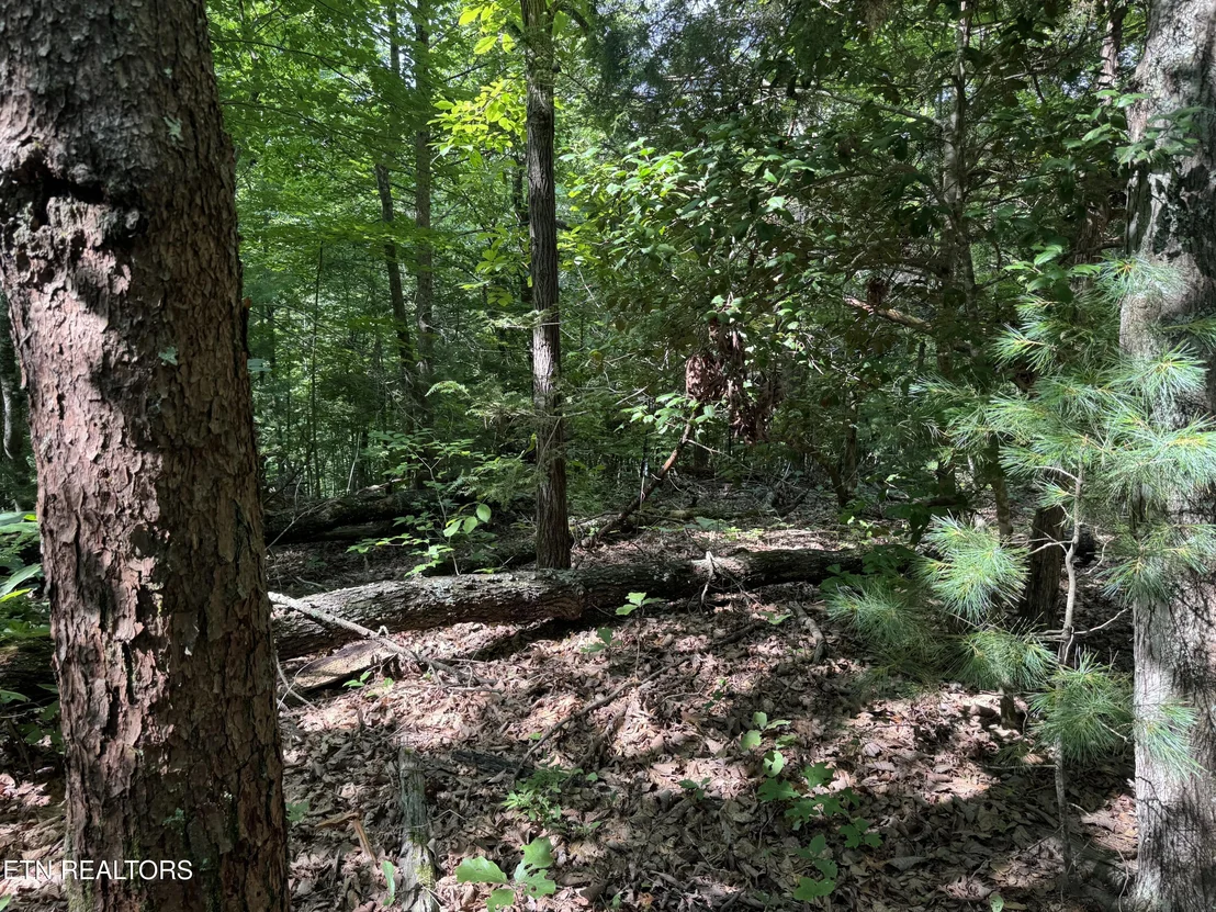Photo of 332 Padgett Mill Rd