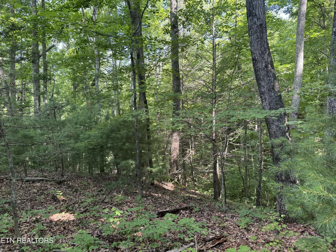 Photo of 332 Padgett Mill Rd