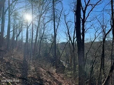 Photo of 2353 Headrick Lead