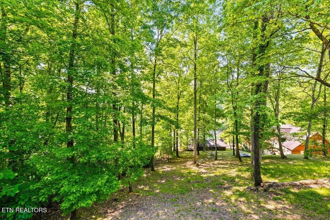Photo of 264 Rain Valley Rd