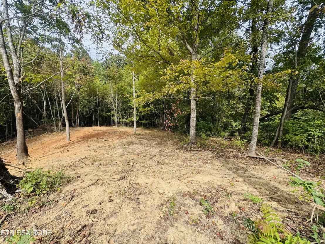 Photo of 349 Wells Rd