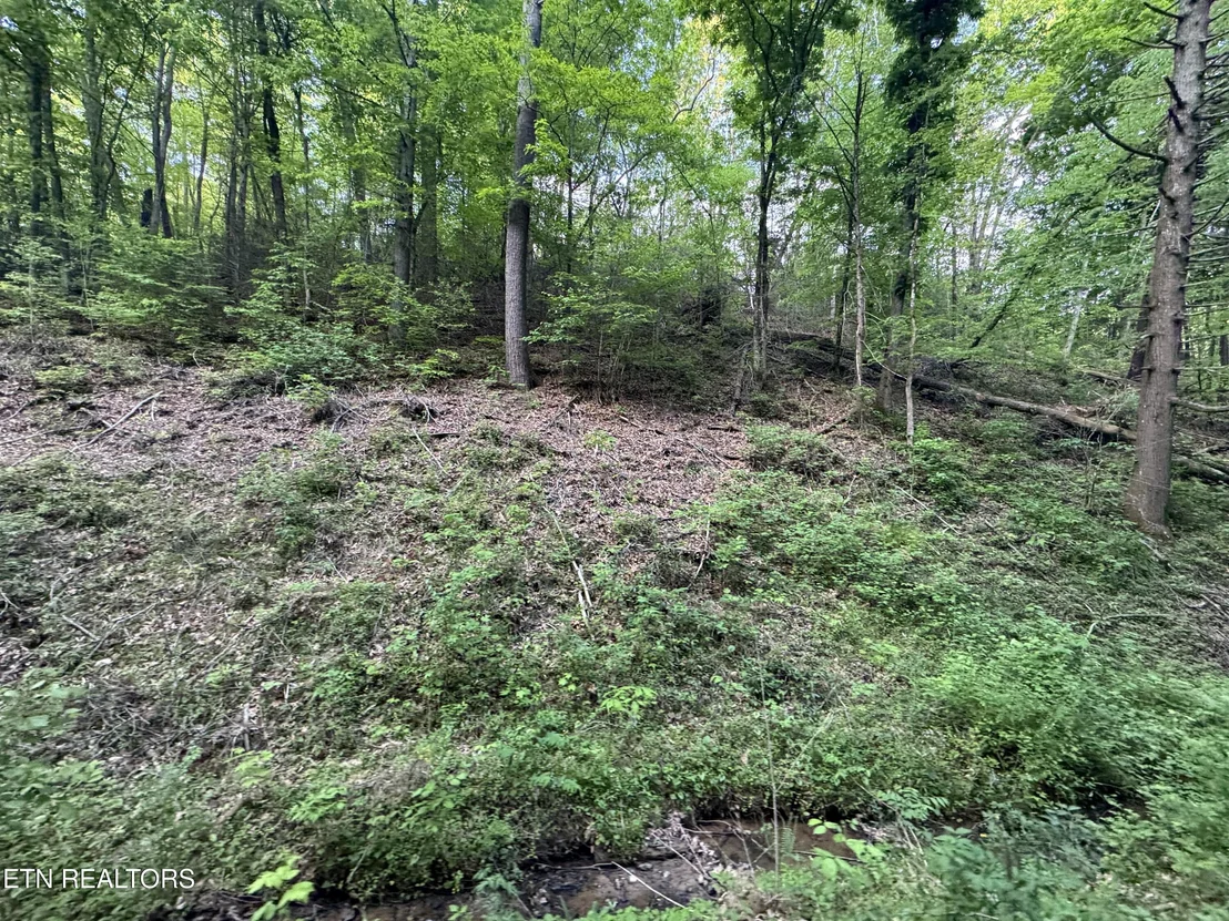 Photo of 332 Padgett Mill Rd