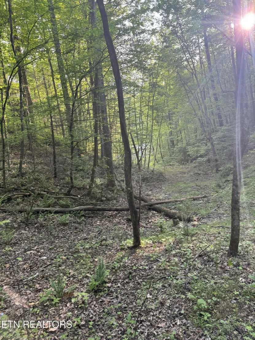 Photo of 332 Padgett Mill Rd